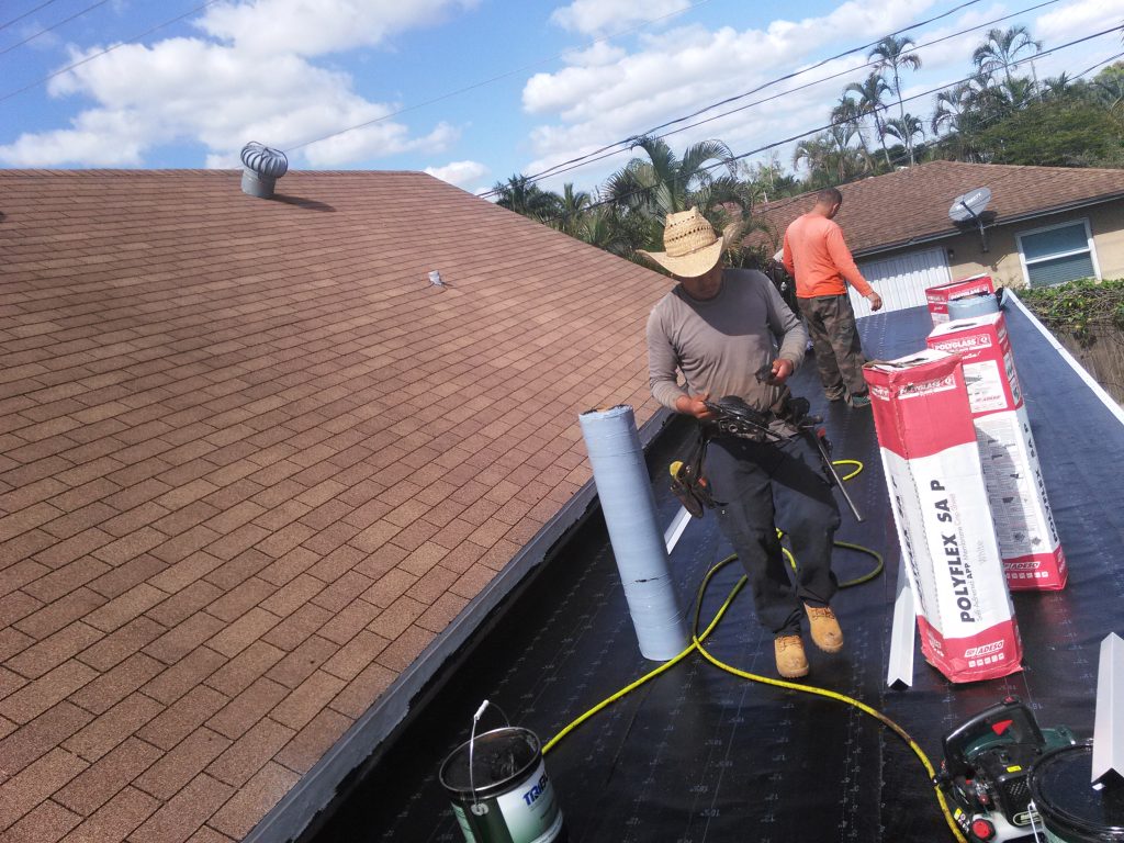 Roof Installation in Wellington