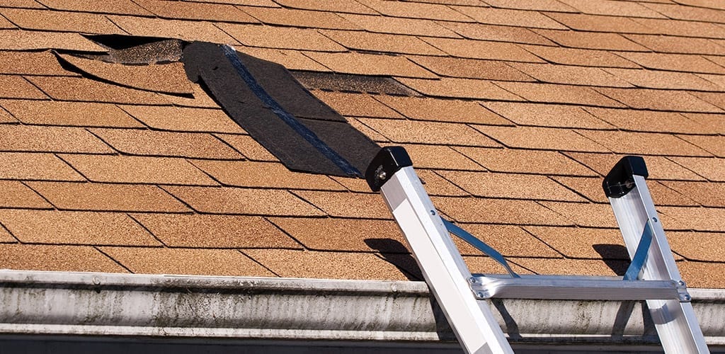 wind damaged asphalt shingle roof