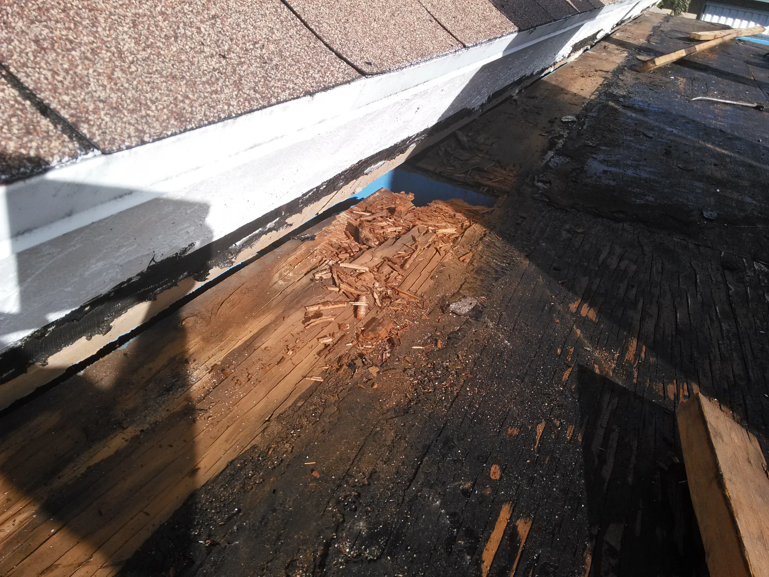 Roof decking with extensive water damage and wood rot caused by a roof leak in Coral Springs home