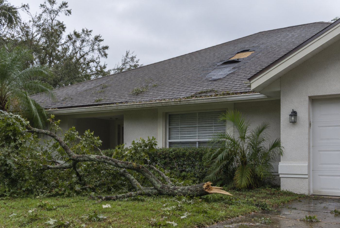 Florida house roof with missing shingles and a fallen tree branch after a storm
